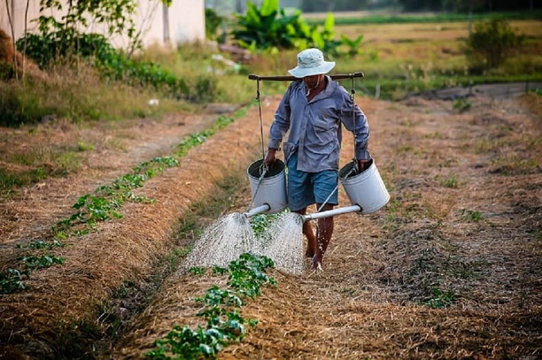 Dia dos Trabalhadores Rurais Quem faz a Terra prosperar